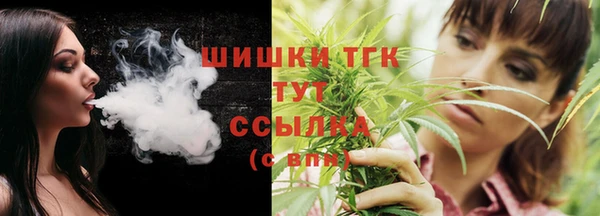 сатива Баксан