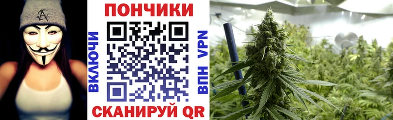 цена наркотик  Гремячинск  Бошки Шишки конопля 